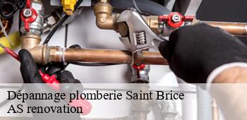 Dépannage plomberie  saint-brice-53290 AS renovation